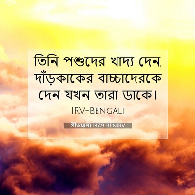 Picture 07 - গীতমালা 147:9 BENIRV - তিনি পশুদের খাদ্য - Bible Verse Picture