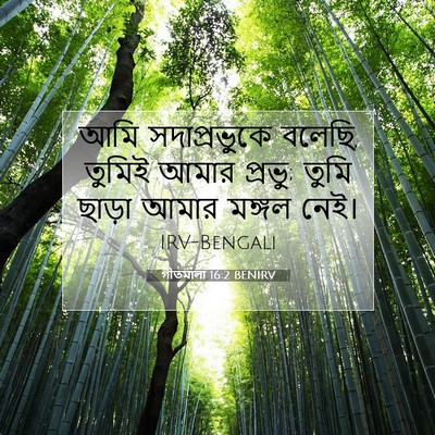 Picture 07 - গীতমালা 16:2 BENIRV - আমি সদাপ্রভুুকে - Bible Verse Picture