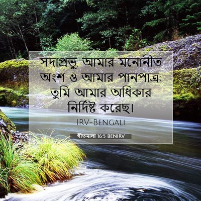Picture 07 - গীতমালা 16:5 BENIRV - সদাপ্রভুু, আমার - Bible Verse Picture