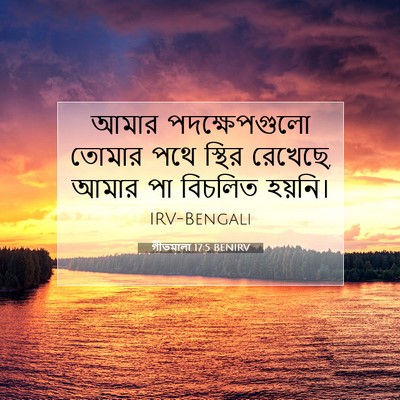 Picture 07 - গীতমালা 17:5 BENIRV - আমার পদক্ষেপগুলো - Bible Verse Picture