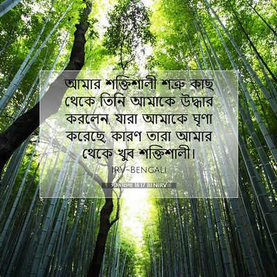 Picture 07 - গীতমালা 18:17 BENIRV - আমার শক্তিশালী - Bible Verse Picture