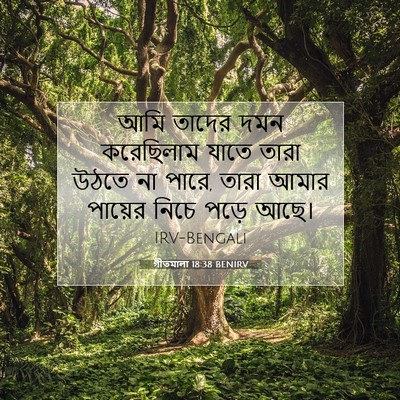 Picture 07 - গীতমালা 18:38 BENIRV - আমি তাদের দমন - Bible Verse Picture