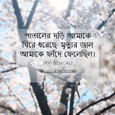 Picture 07 - গীতমালা 18:5 BENIRV - পাতালের দড়ি - Bible Verse Picture