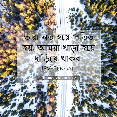 Picture 07 - গীতমালা 20:8 BENIRV - তারা নত হয়ে পতিত - Bible Verse Picture