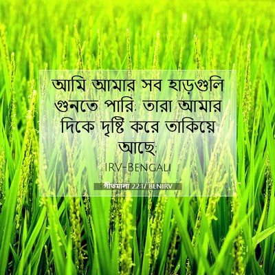 Picture 07 - গীতমালা 22:17 BENIRV - আমি আমার সব - Bible Verse Picture