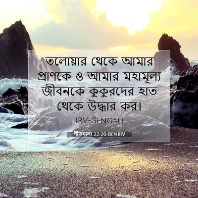 Picture 07 - গীতমালা 22:20 BENIRV - তলোয়ার থেকে আমার - Bible Verse Picture