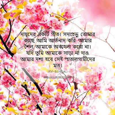 Picture 07 - গীতমালা 28:1 BENIRV - দায়ূদের একটি - Bible Verse Picture