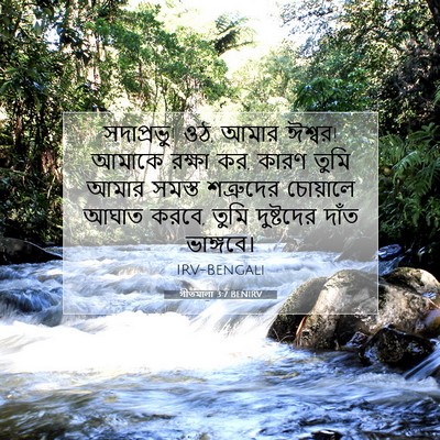 Picture 07 - গীতমালা 3:7 BENIRV - সদাপ্রভুু! ওঠ, আমার - Bible Verse Picture