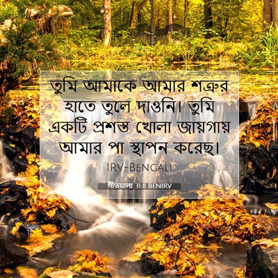 Picture 07 - গীতমালা 31:8 BENIRV - তুমি আমাকে আমার - Bible Verse Picture