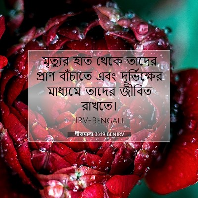Picture 07 - গীতমালা 33:19 BENIRV - মৃত্যুর হাত থেকে - Bible Verse Picture