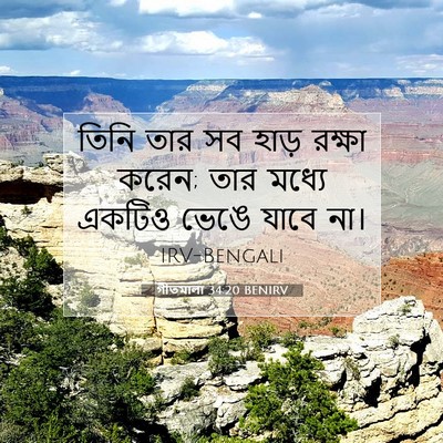 Picture 07 - গীতমালা 34:20 BENIRV - তিনি তার সব হাড় - Bible Verse Picture