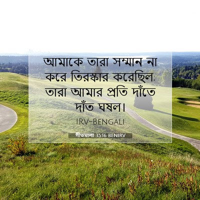 Picture 07 - গীতমালা 35:16 BENIRV - আমাকে তারা সম্মান - Bible Verse Picture
