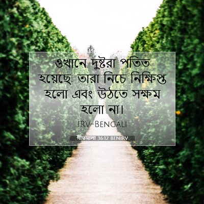 Picture 07 - গীতমালা 36:12 BENIRV - ওখানে দুষ্টরা - Bible Verse Picture