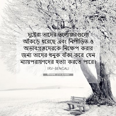 Picture 07 - গীতমালা 37:14 BENIRV - দুষ্টেরা তাদের - Bible Verse Picture