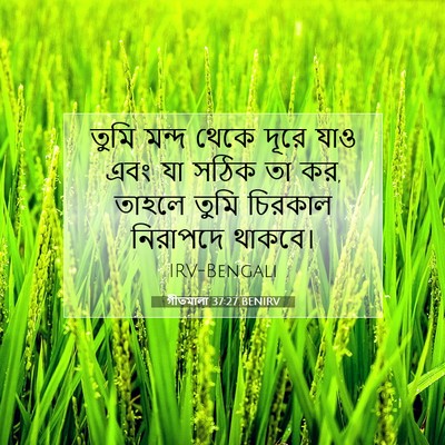 Picture 07 - গীতমালা 37:27 BENIRV - তুমি মন্দ থেকে - Bible Verse Picture