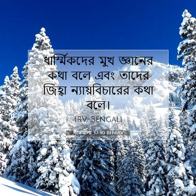 Picture 07 - গীতমালা 37:30 BENIRV - ধার্ম্মিকদের মুখ - Bible Verse Picture
