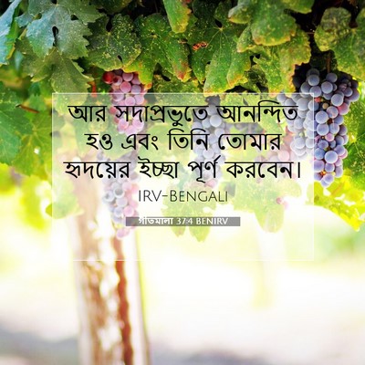 Picture 07 - গীতমালা 37:4 BENIRV - আর সদাপ্রভুুতে - Bible Verse Picture