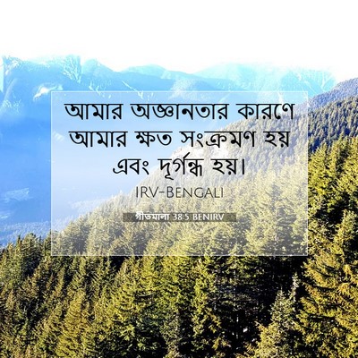 Picture 07 - গীতমালা 38:5 BENIRV - আমার অজ্ঞানতার - Bible Verse Picture