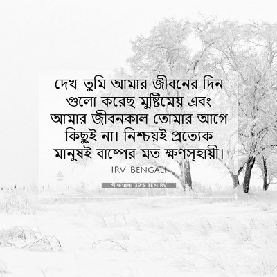 Picture 07 - গীতমালা 39:5 BENIRV - দেখ, তুমি আমার - Bible Verse Picture