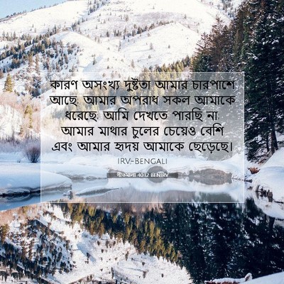 Picture 07 - গীতমালা 40:12 BENIRV - কারণ অসংখ্য - Bible Verse Picture