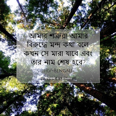 Picture 07 - গীতমালা 41:5 BENIRV - আমার শত্রুরা আমার - Bible Verse Picture