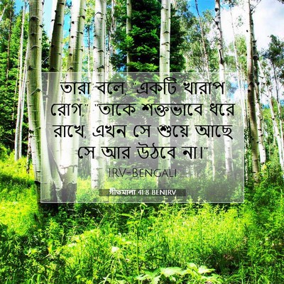 Picture 07 - গীতমালা 41:8 BENIRV - তারা বলে, “একটি - Bible Verse Picture