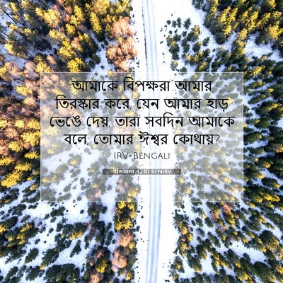 Picture 07 - গীতমালা 42:10 BENIRV - আমাকে বিপক্ষরা - Bible Verse Picture