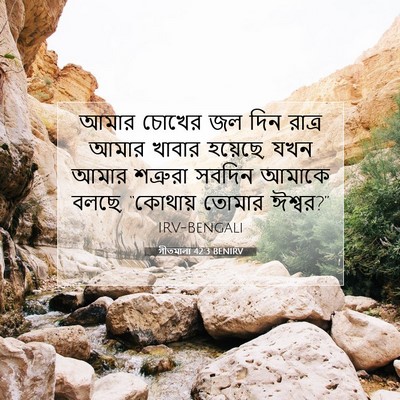 Picture 07 - গীতমালা 42:3 BENIRV - আমার চোখের জল দিন - Bible Verse Picture