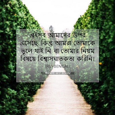 Picture 07 - গীতমালা 44:17 BENIRV - এইসব আমাদের উপর - Bible Verse Picture