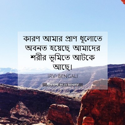 Picture 07 - গীতমালা 44:25 BENIRV - কারণ আমার প্রাণ - Bible Verse Picture