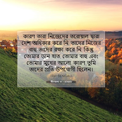 Picture 07 - গীতমালা 44:3 BENIRV - কারণ তারা নিজেদের - Bible Verse Picture