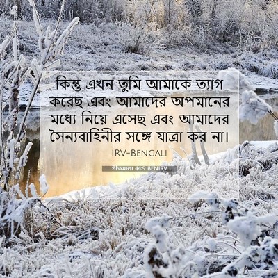 Picture 07 - গীতমালা 44:9 BENIRV - কিন্তু এখন তুমি - Bible Verse Picture