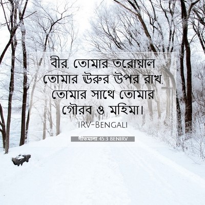 Picture 07 - গীতমালা 45:3 BENIRV - বীর, তোমার তরোয়াল - Bible Verse Picture