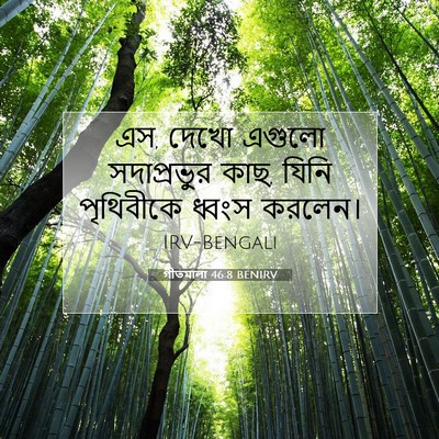 Picture 07 - গীতমালা 46:8 BENIRV - এস, দেখো এগুলো - Bible Verse Picture