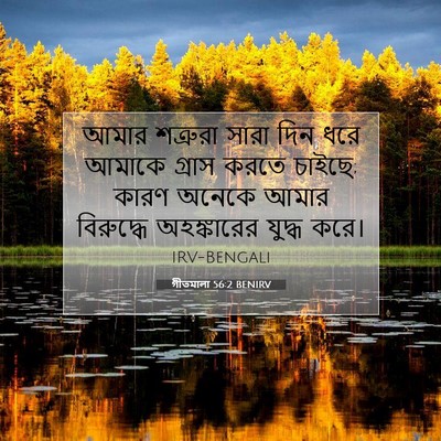 Picture 07 - গীতমালা 56:2 BENIRV - আমার শত্রুরা সারা - Bible Verse Picture