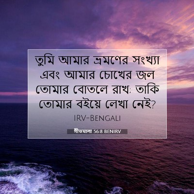 Picture 07 - গীতমালা 56:8 BENIRV - তুমি আমার ভ্রমণের - Bible Verse Picture