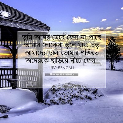 Picture 07 - গীতমালা 59:11 BENIRV - তুমি তাদের মেরে - Bible Verse Picture