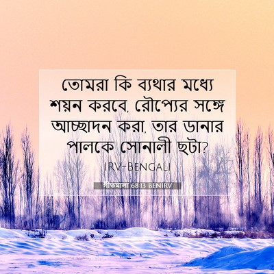 Picture 07 - গীতমালা 68:13 BENIRV - তোমরা কি ব্যথার - Bible Verse Picture