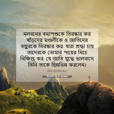 Picture 07 - গীতমালা 68:30 BENIRV - নলবনের বন্যপশুকে - Bible Verse Picture