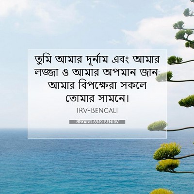Picture 07 - গীতমালা 69:19 BENIRV - তুমি আমার দূর্নাম - Bible Verse Picture