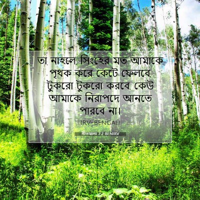 Picture 07 - গীতমালা 7:2 BENIRV - তা নাহলে, সিংহের মত - Bible Verse Picture