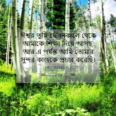 Picture 07 - গীতমালা 71:17 BENIRV - ঈশ্বর, তুমি - Bible Verse Picture