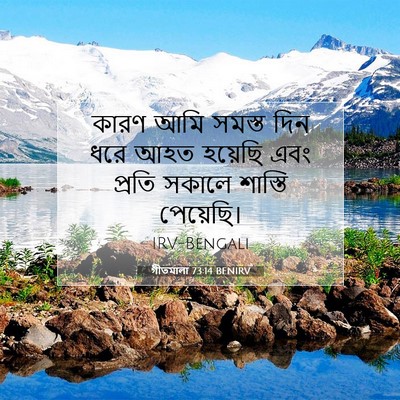 Picture 07 - গীতমালা 73:14 BENIRV - কারণ আমি সমস্ত দিন - Bible Verse Picture