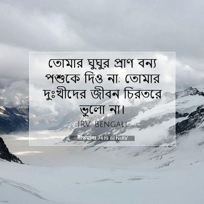 Picture 07 - গীতমালা 74:19 BENIRV - তোমার ঘুঘুর প্রাণ - Bible Verse Picture