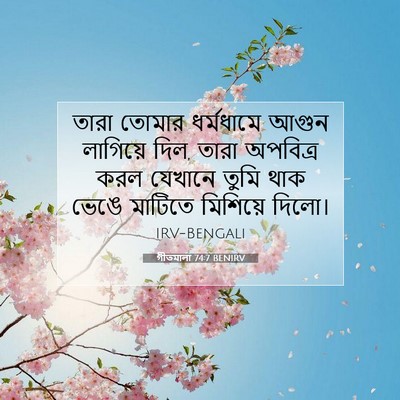 Picture 07 - গীতমালা 74:7 BENIRV - তারা তোমার - Bible Verse Picture
