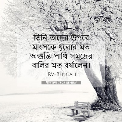 Picture 07 - গীতমালা 78:27 BENIRV - তিনি তাদের উপরে - Bible Verse Picture