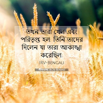 Picture 07 - গীতমালা 78:29 BENIRV - তখন তারা খেল এবং - Bible Verse Picture