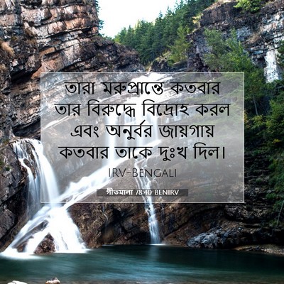 Picture 07 - গীতমালা 78:40 BENIRV - তারা মরুপ্রান্তে - Bible Verse Picture