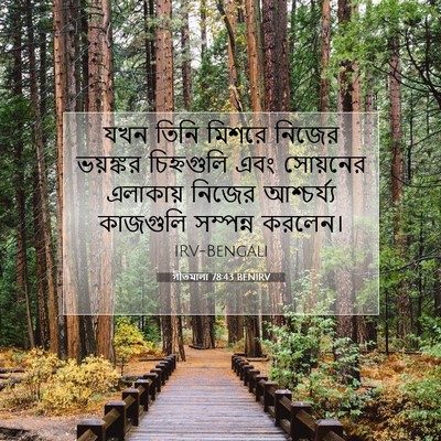 Picture 07 - গীতমালা 78:43 BENIRV - যখন তিনি মিশরে - Bible Verse Picture