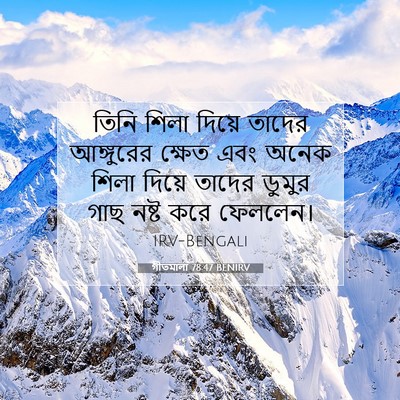 Picture 07 - গীতমালা 78:47 BENIRV - তিনি শিলা দিয়ে - Bible Verse Picture